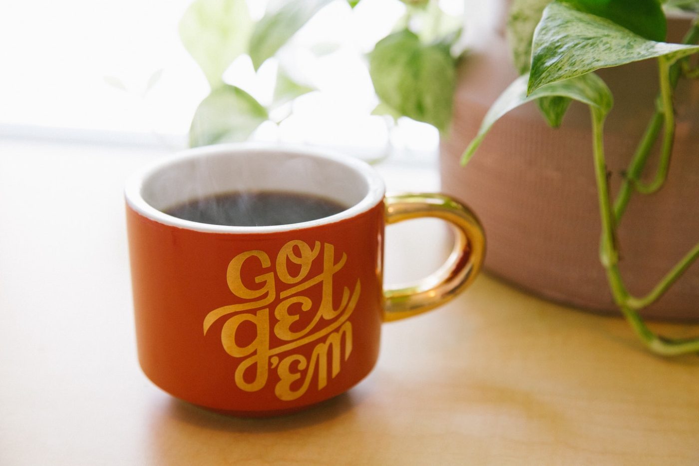 mug of coffee that says go get em